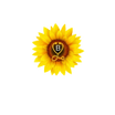 Bloom At Home Healthcare, PLLC