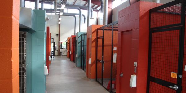 Commercial & Institutional Painting