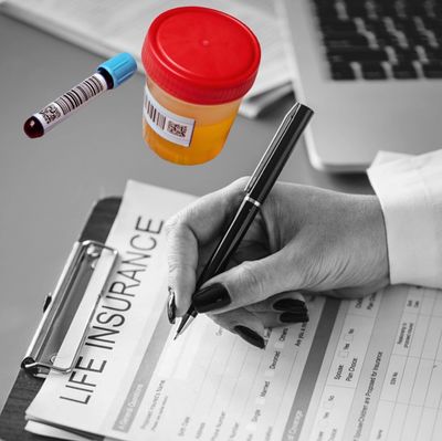 Paramedical Examiner | Assured Phlebotomy Training Academy