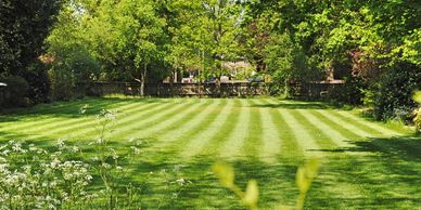 A neatly striped lawn surrounded by lush green trees and plants.