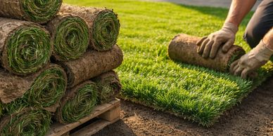 Person laying rolled sod on a prepared soil bed for new grass.