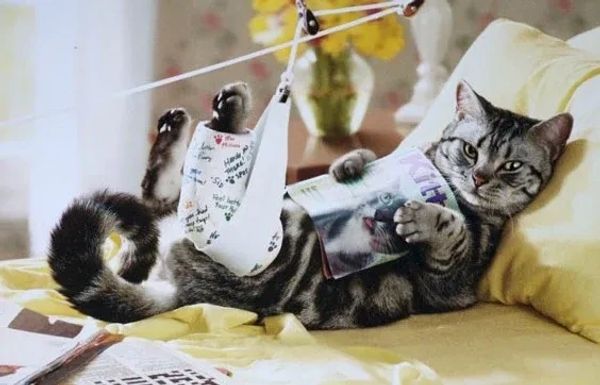  Activity restricted. Dignity intact. 