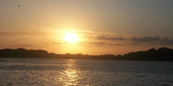 Sunset over B.A. Steinhagen Reservoir at Martin Dies, Jr. Texas State Park.