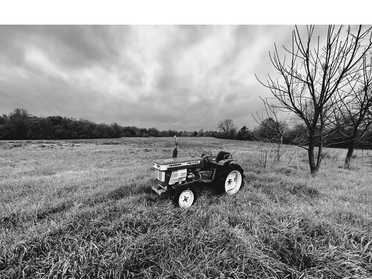 Wild Onion Farm Home
