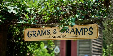 Family freindly vineyard and wine tasting $15 pp/tasting