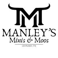 manleysminisandmoos.com