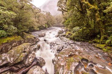 A misty forest river flows rapidly over moss-covered rocks.