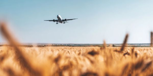 Airplane flying low over a golden wheat field under a clear sky.
