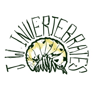 JW Invertebrates