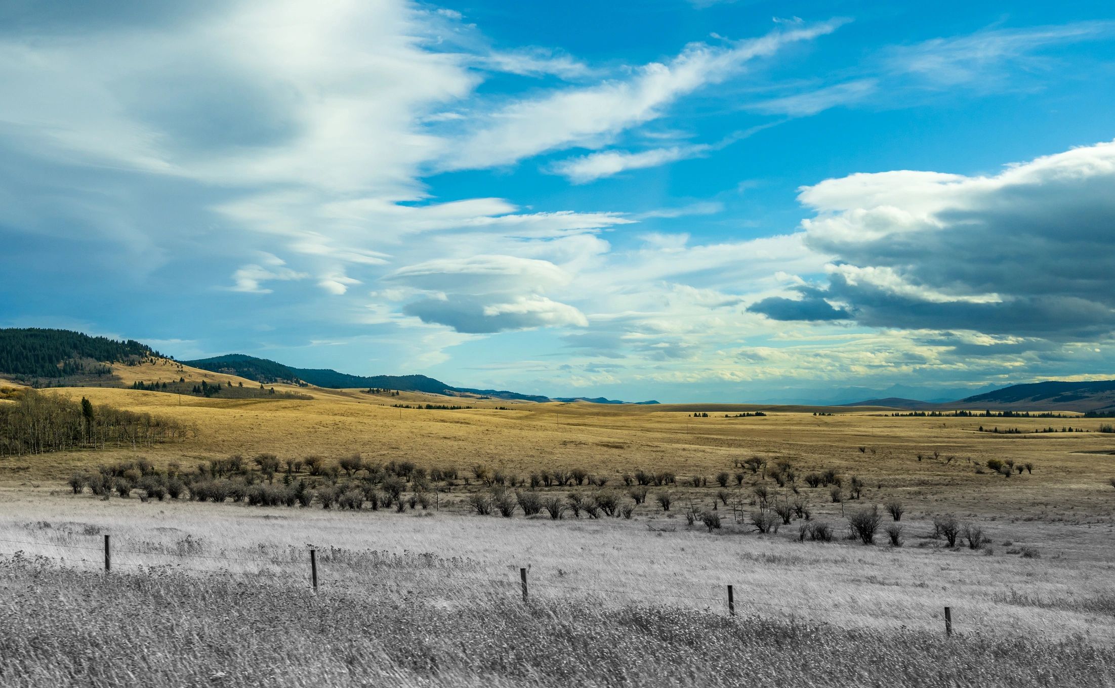 Longview Realty Capital, LLC