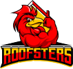 Why Work with Roofsters?