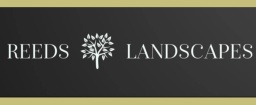 Reeds landscapes