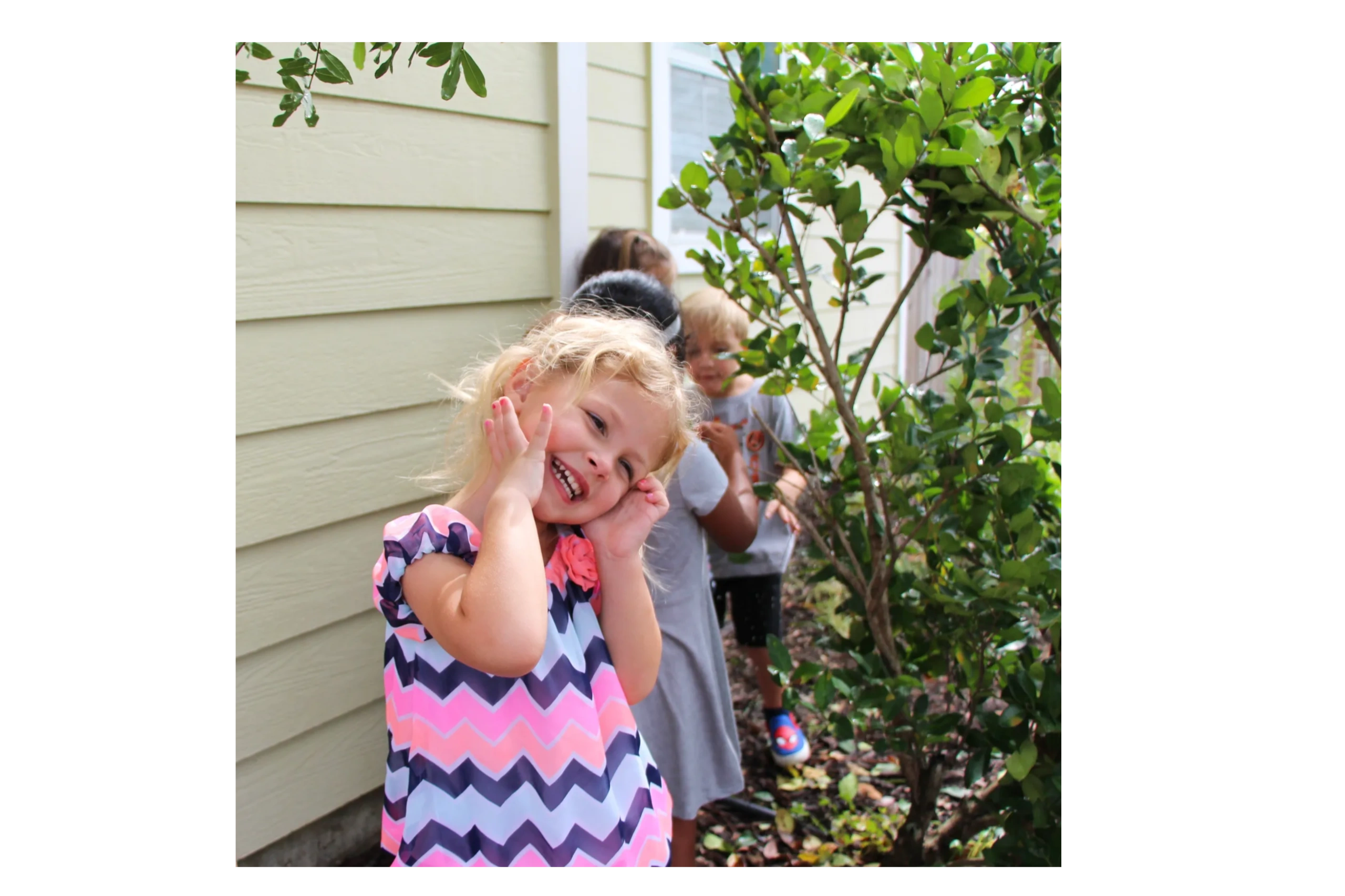 Hawk's Nest Learning Tree