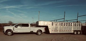 White pickup truck towing a large livestock trailer on a clear day.