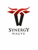 Synergy Sires