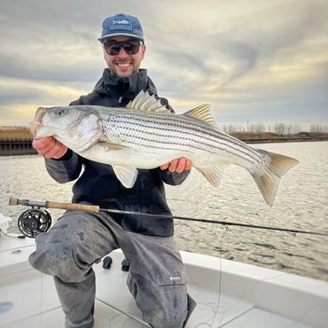 Man proudly holding a large striped bass on a boat.