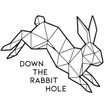 downtherabbitholeroc.com