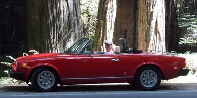 1982 Fiat Spider, CA redwoods, Avenue of the Giants Mirafiori, Vintage Fiat, Humboldt County