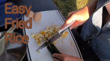Easy camping meals, healthy, fried rice, Coleman stove, camp stove, overland