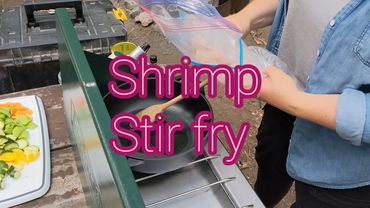 Easy camping meals, healthy, Coleman stove, camp stove, overland, shrimp stir fry