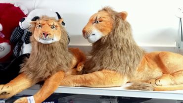 Two plush lion toys resting side by side.