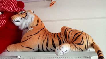 Large stuffed tiger lying on a shelf.