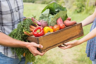 a tray of fresh vegetables in hands  