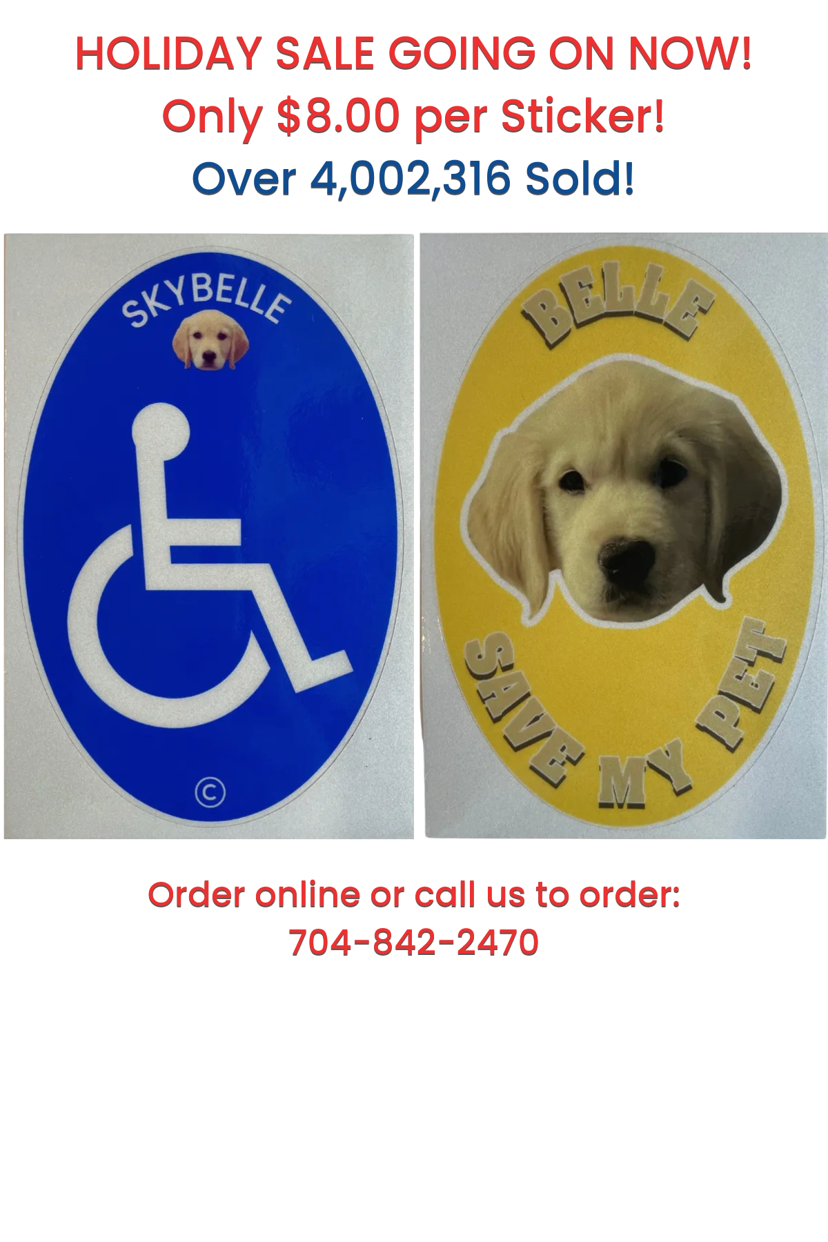 Adventure Awaits Follow Our Expert Travel Blog