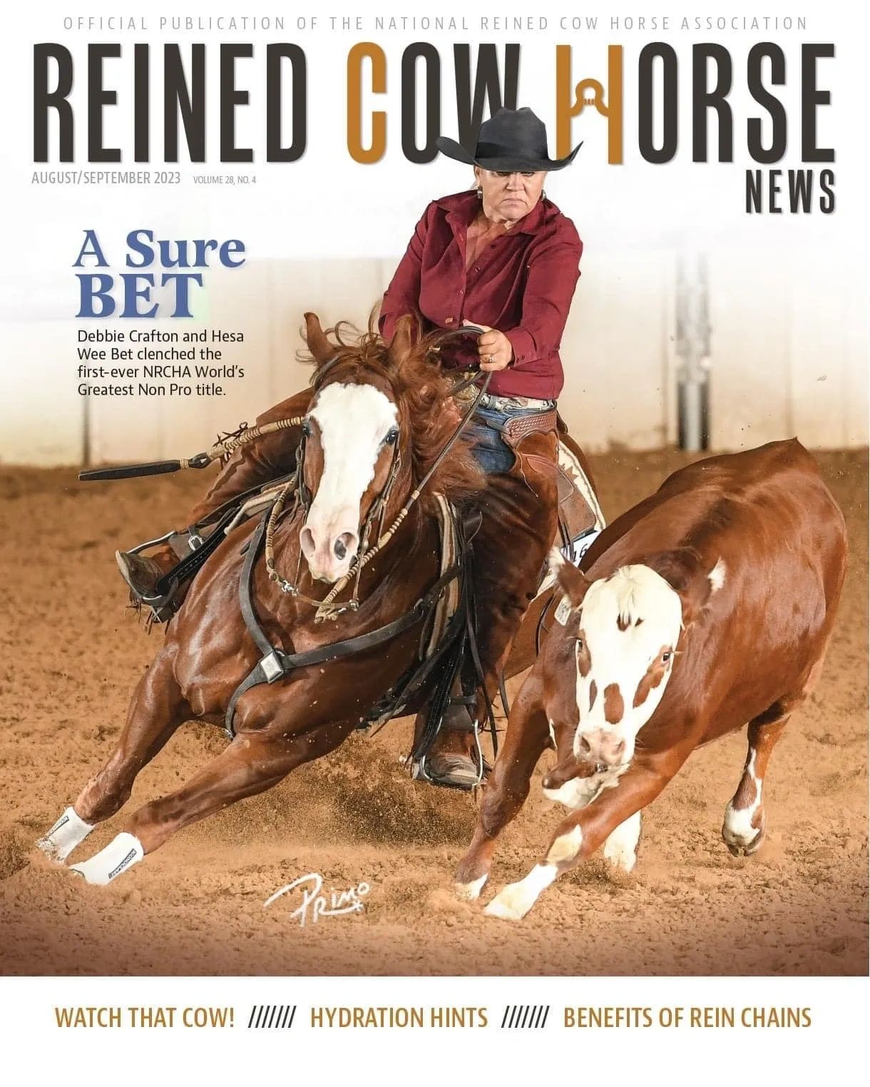 Champion Reined Cow-horse
