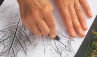 A photo of two hands demonstrating leaf rubbing on white paper.