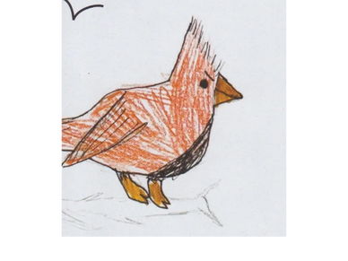 Drawing of a cardinal by student Maira H.
