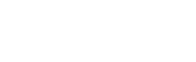 The Christmas Decor