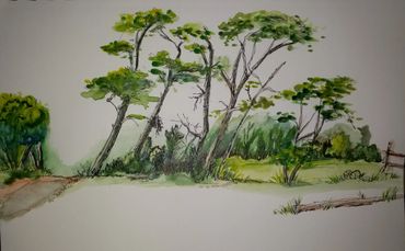 Watercolor sketch, Trees in Bighorn Canyon