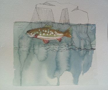 Trout in stream, watercolor sketch