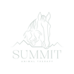 Summit Animal Therapy