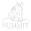 Summit Animal Therapy
