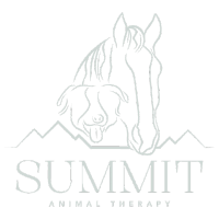 Summit Animal Therapy