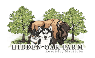 Hidden Oak Huskies