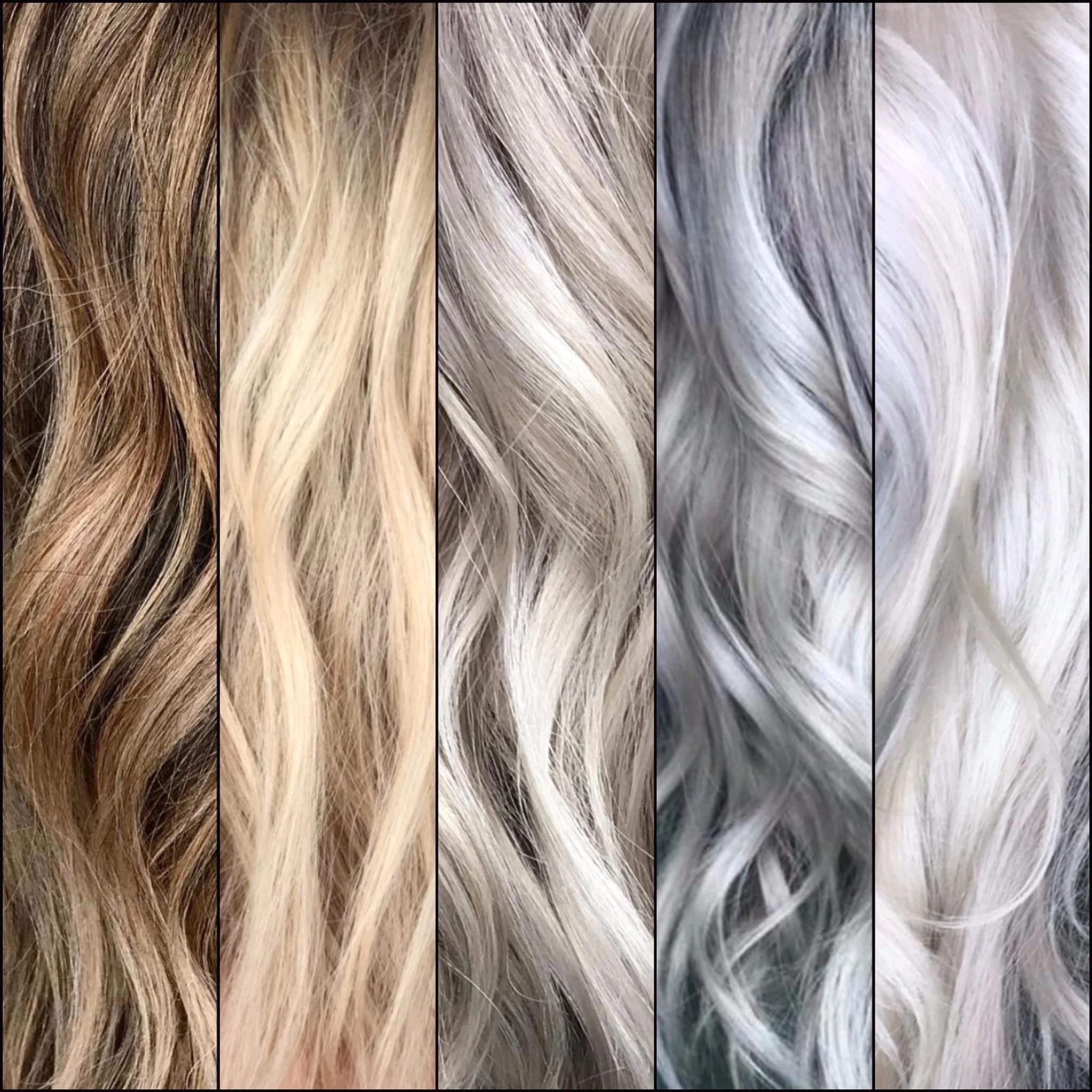 The Blonde Perspective - o8v4p3l