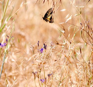 image112