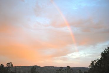 image55