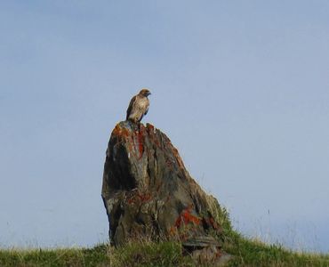 image189