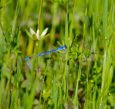 image121