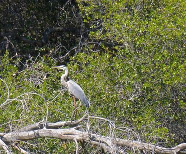 image106
