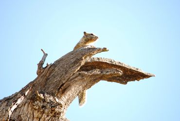 image343