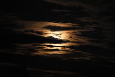 image317