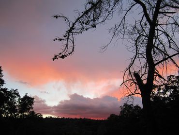 image289