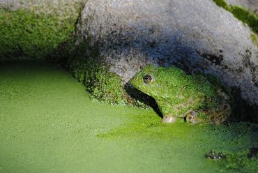 image80