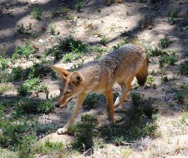 image85