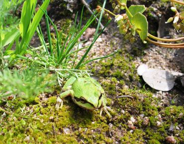 image72